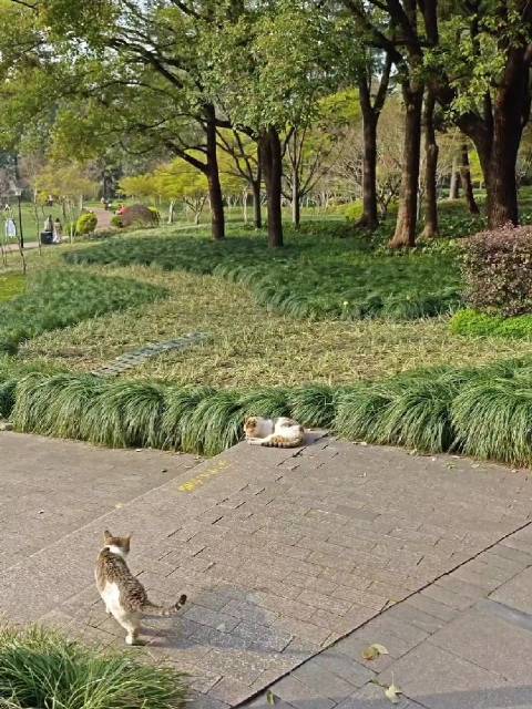 郎平回国探望周苏红前夫汤淼 持续18年关怀