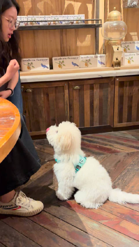 郎平回国探望周苏红前夫汤淼 持续18年关怀